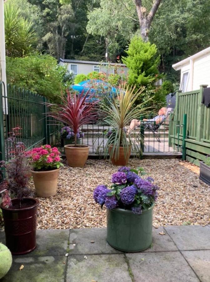 173A Woodland Way Hotel Porthmadog Buitenkant foto