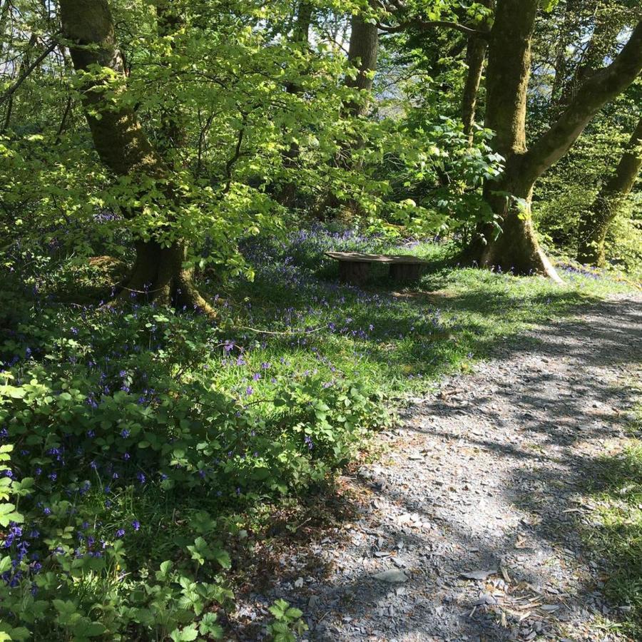 173A Woodland Way Hotel Porthmadog Buitenkant foto